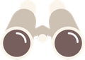 A pair of binoculars with brown lenses on a white background.
