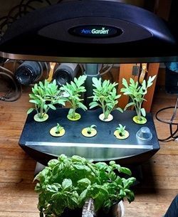 AeroGarden with tomatoes and peppers