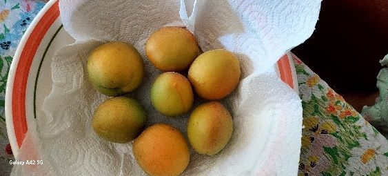 A bowl of fruit is sitting on a piece of paper towel.