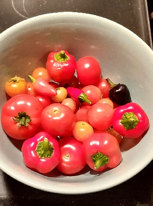 A white bowl filled with red peppers and tomatoes