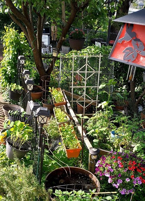 Jersey City Garden scene