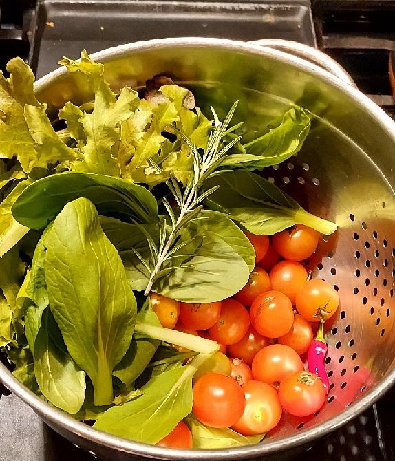A strainer filled with homegrown vegetables including tomatoes and lettuce