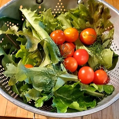 A strainer filled with lettuce and tomatoes on a wooden table