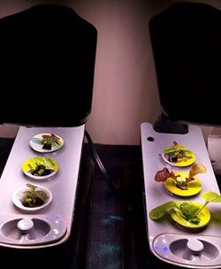Aerogarden starts