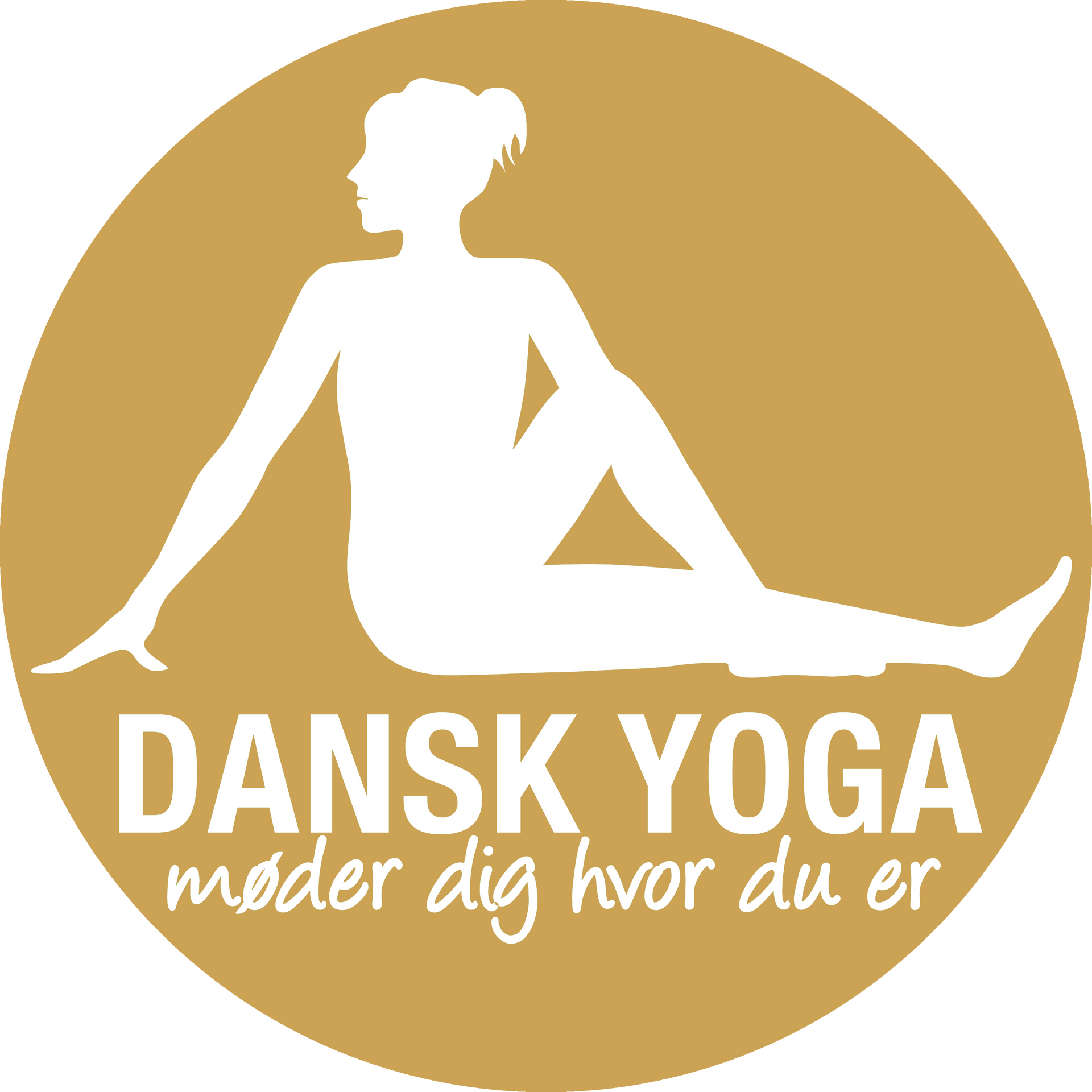 Medlem af DYOM logo