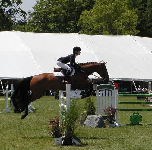 Horse and rider clearing a jump in an outdoor equestrian arena with a white tent backdrop