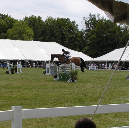 Horse and rider jumping an obstacle in a grassy arena at an equestrian event