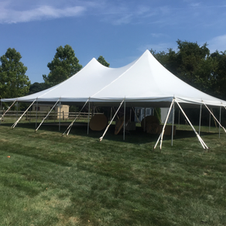 White event tents on a grassy field under a blue sky, with support poles and trees in the background