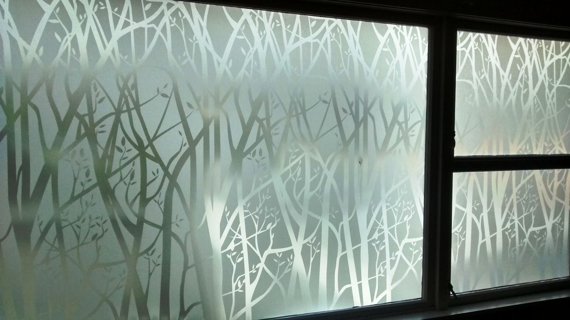 Frosted window with silhouetted tree branches.
