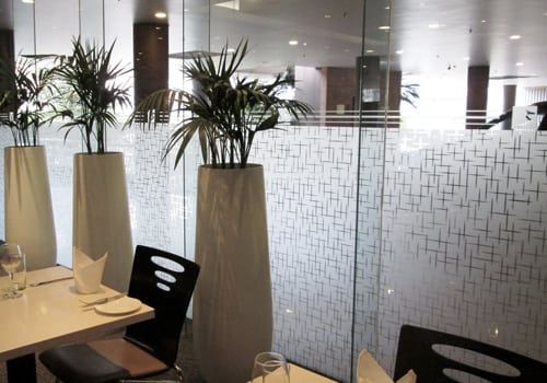 Restaurant interior with white tables, black chairs, and tall potted plants by a patterned frosted window.