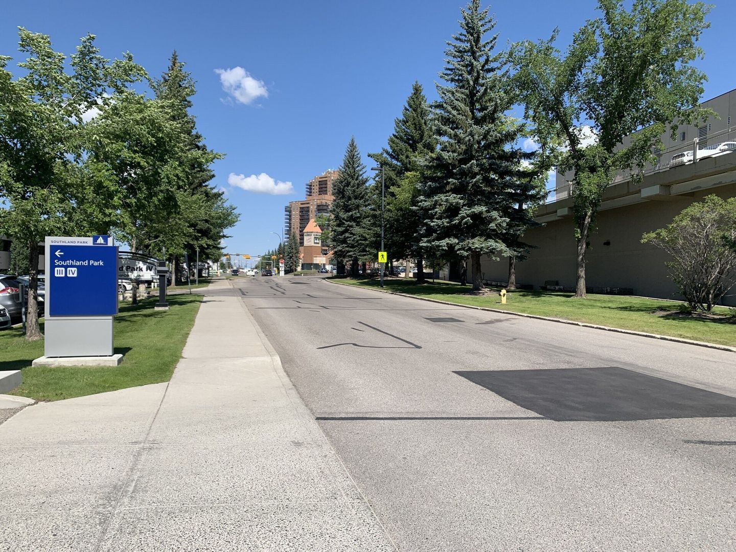 Quiet campus street with sidewalk, trees, and a blue campus sign under a clear sky