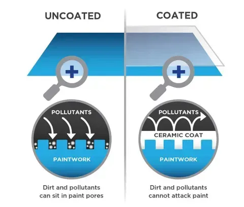 Coated vs uncoated paintwork showing pollutants sit on ceramic coat and don’t attack paint