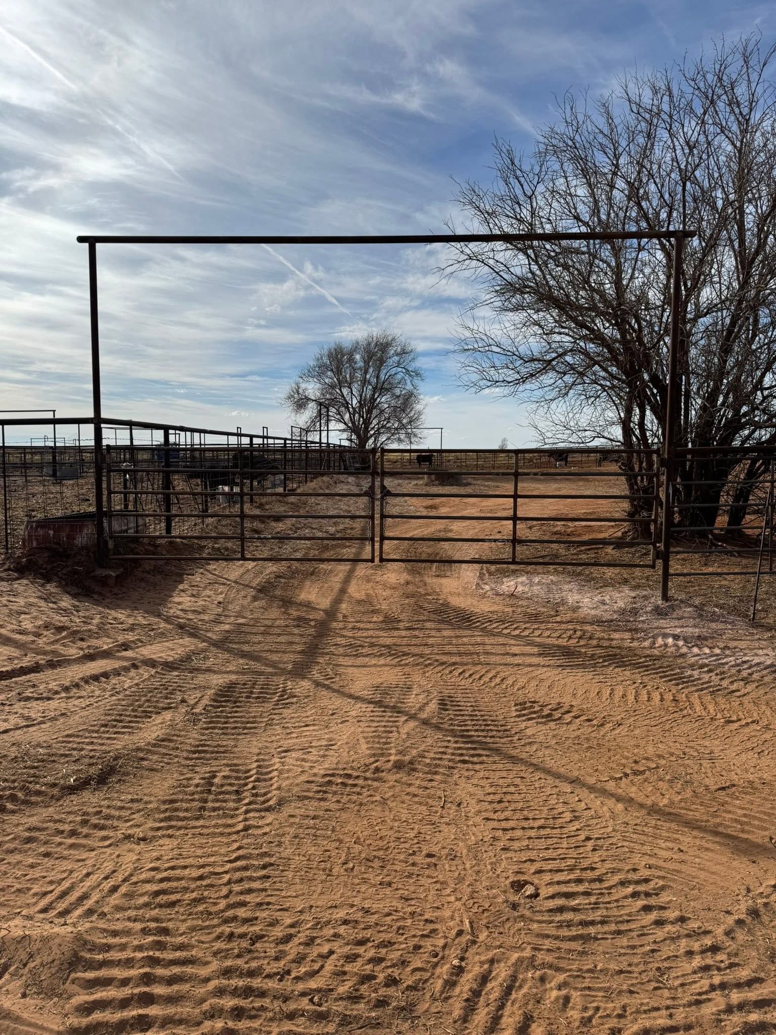 Rusty metal gate in a dry dirt field under a blue sky, with a tree and fence in the background