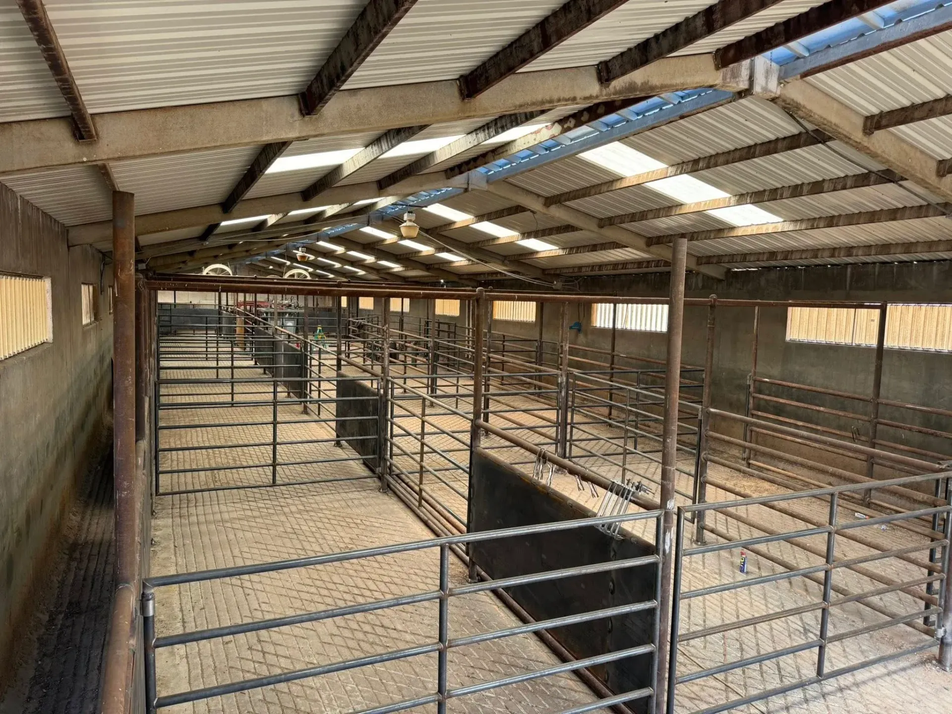 Long indoor livestock barn with metal pens and a corrugated roof