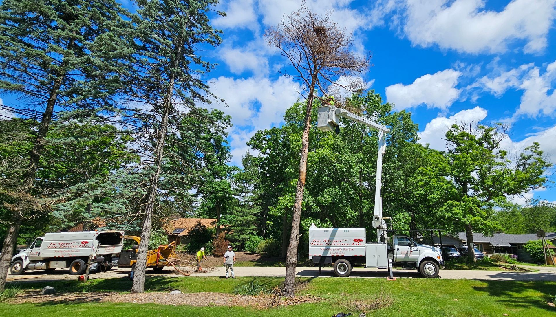 Crane Services 