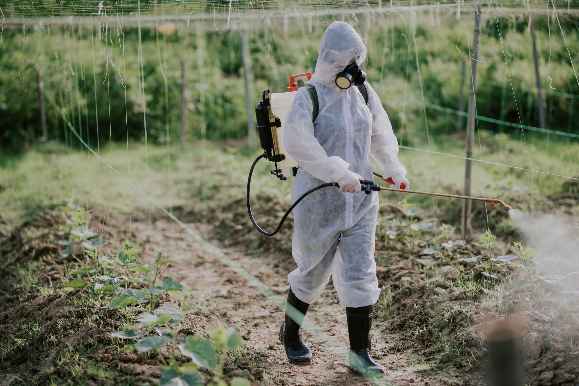 Environmentally Safe Solutions — Fox Lake, IL — Joe Meyer Tree Service Inc