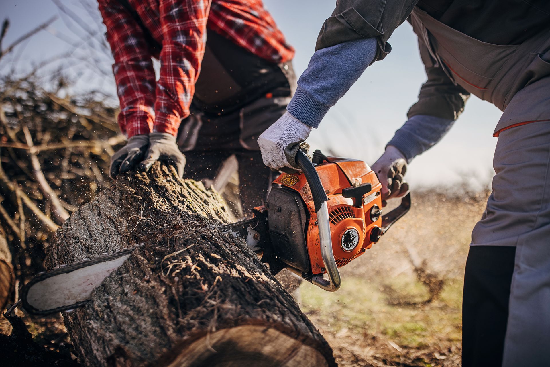 24-Hour Emergency Services — Fox Lake, IL — Joe Meyer Tree Service Inc