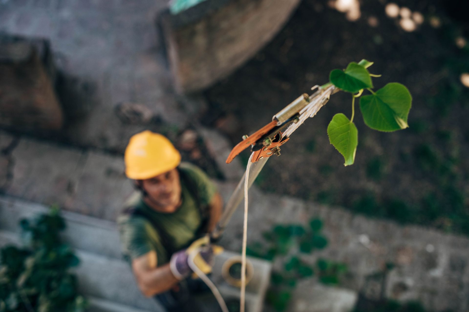 Modern Techniques And Equipment — Fox Lake, IL — Joe Meyer Tree Service Inc