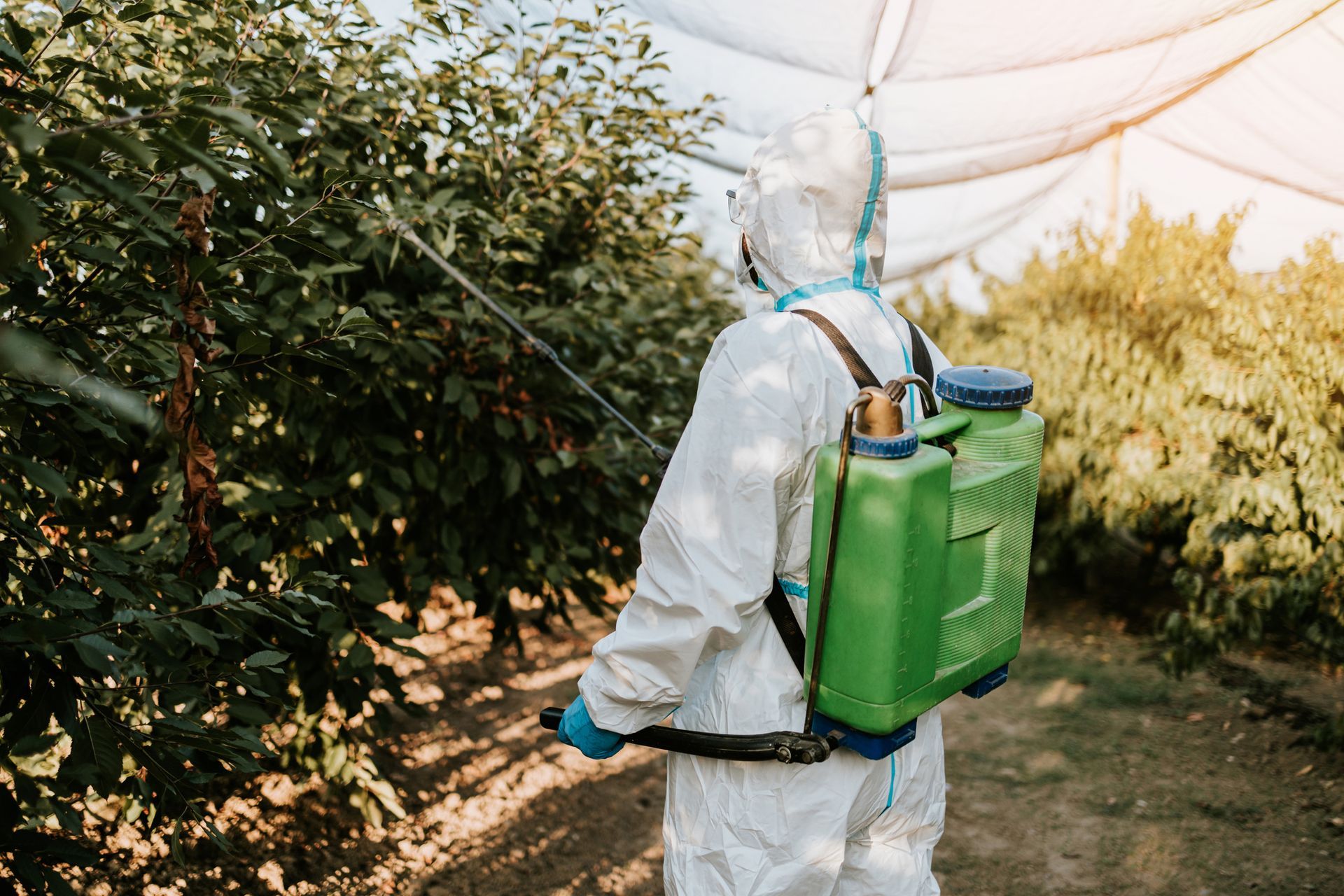Tree Health Assessment — Fox Lake, IL — Joe Meyer Tree Service Inc