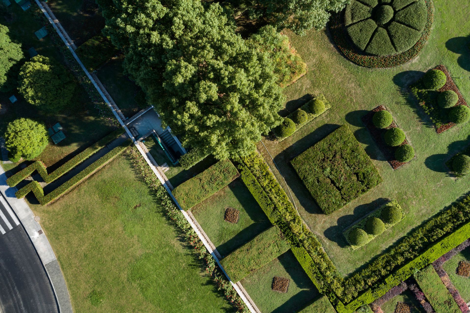 An aerial view of a garden with trees and bushes.