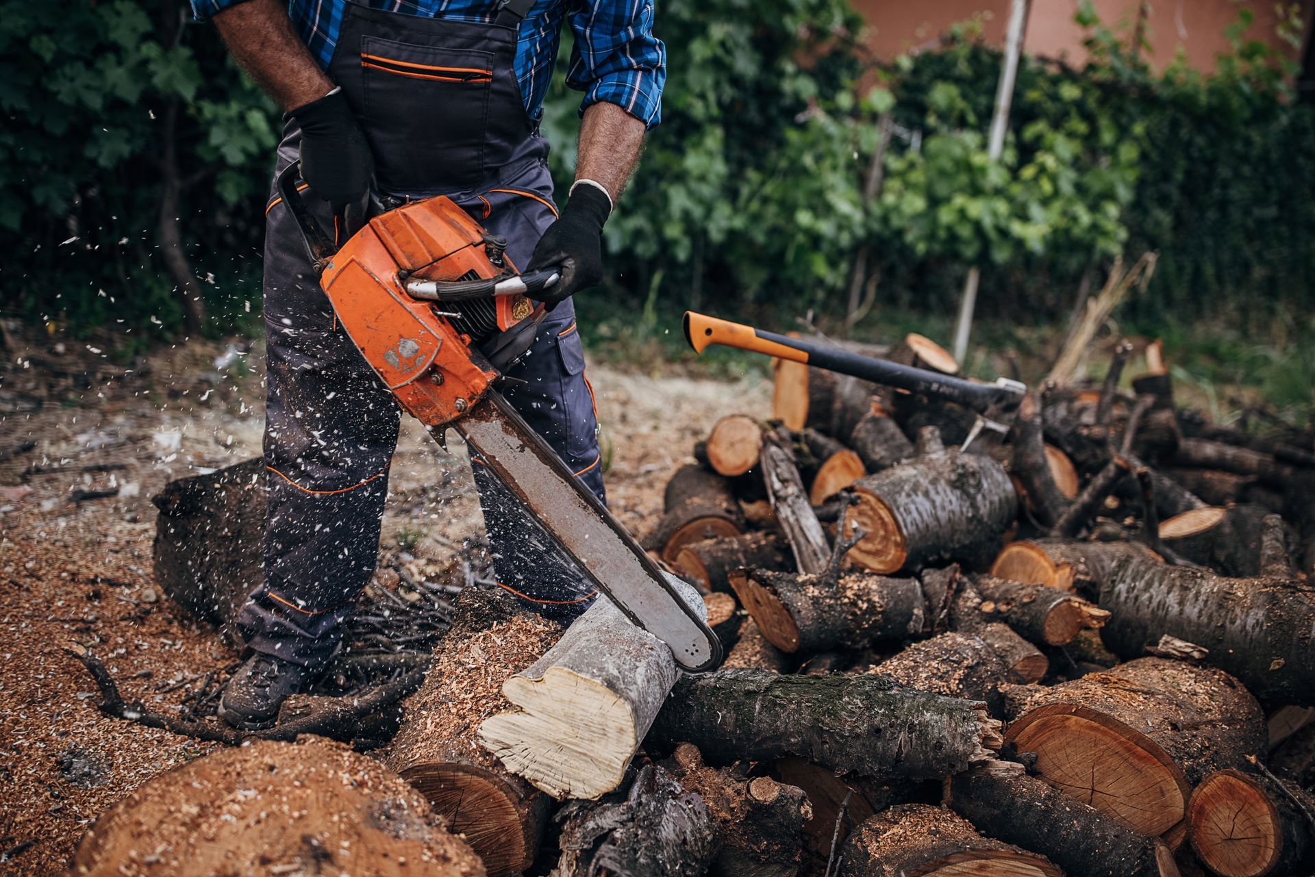 Tree Emergency Services — Fox Lake, IL — Joe Meyer Tree Service Inc