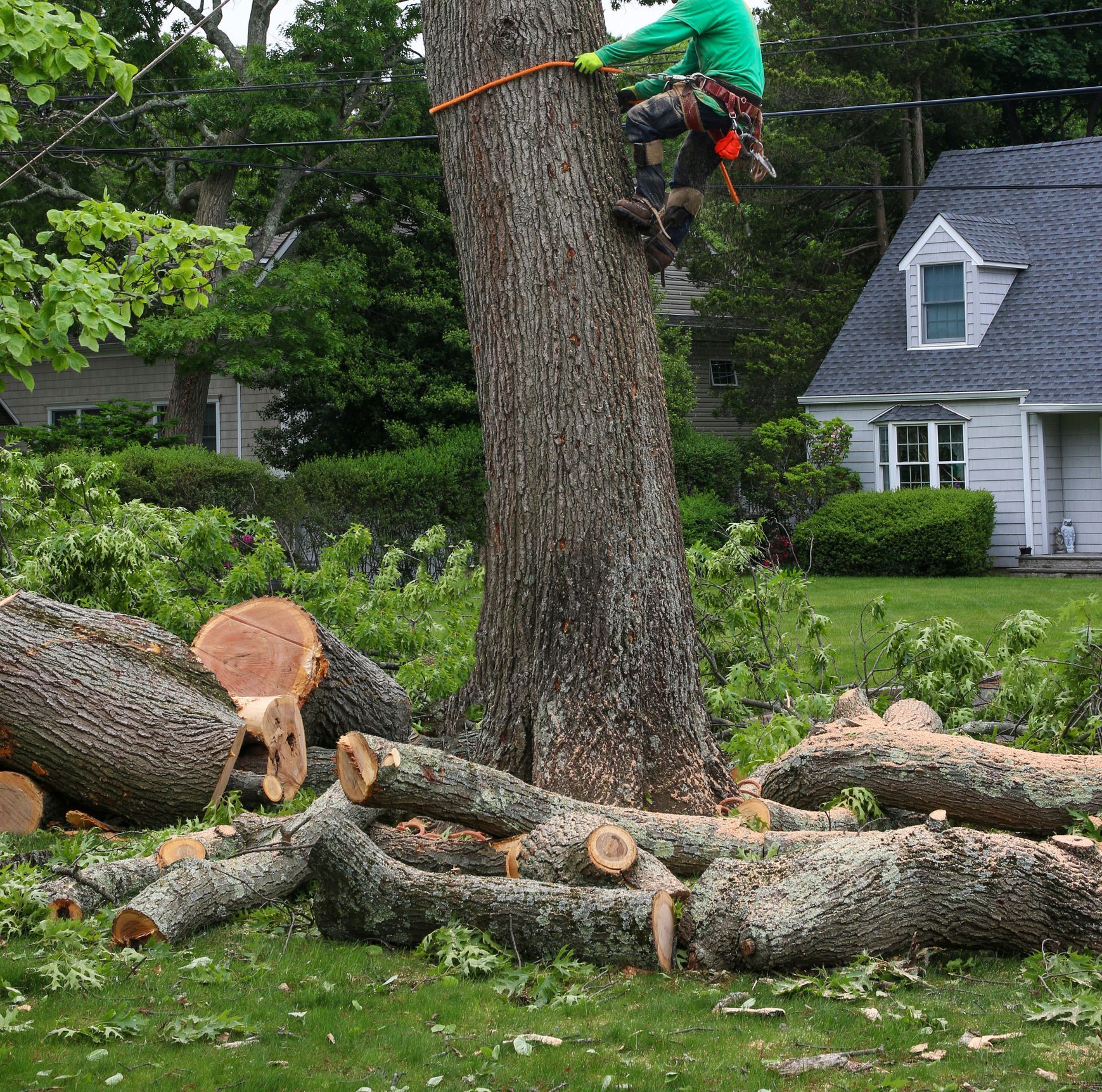 Residential Tree Removal — Fox Lake, IL — Joe Meyer Tree Service Inc