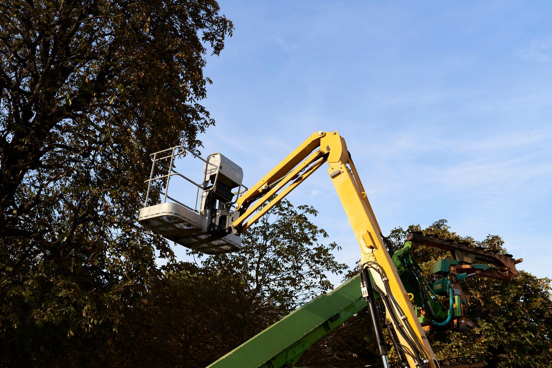 A Yellow And Green Crane Is Cutting A Tree — Fox Lake, IL — Joe Meyer Tree Service Inc
