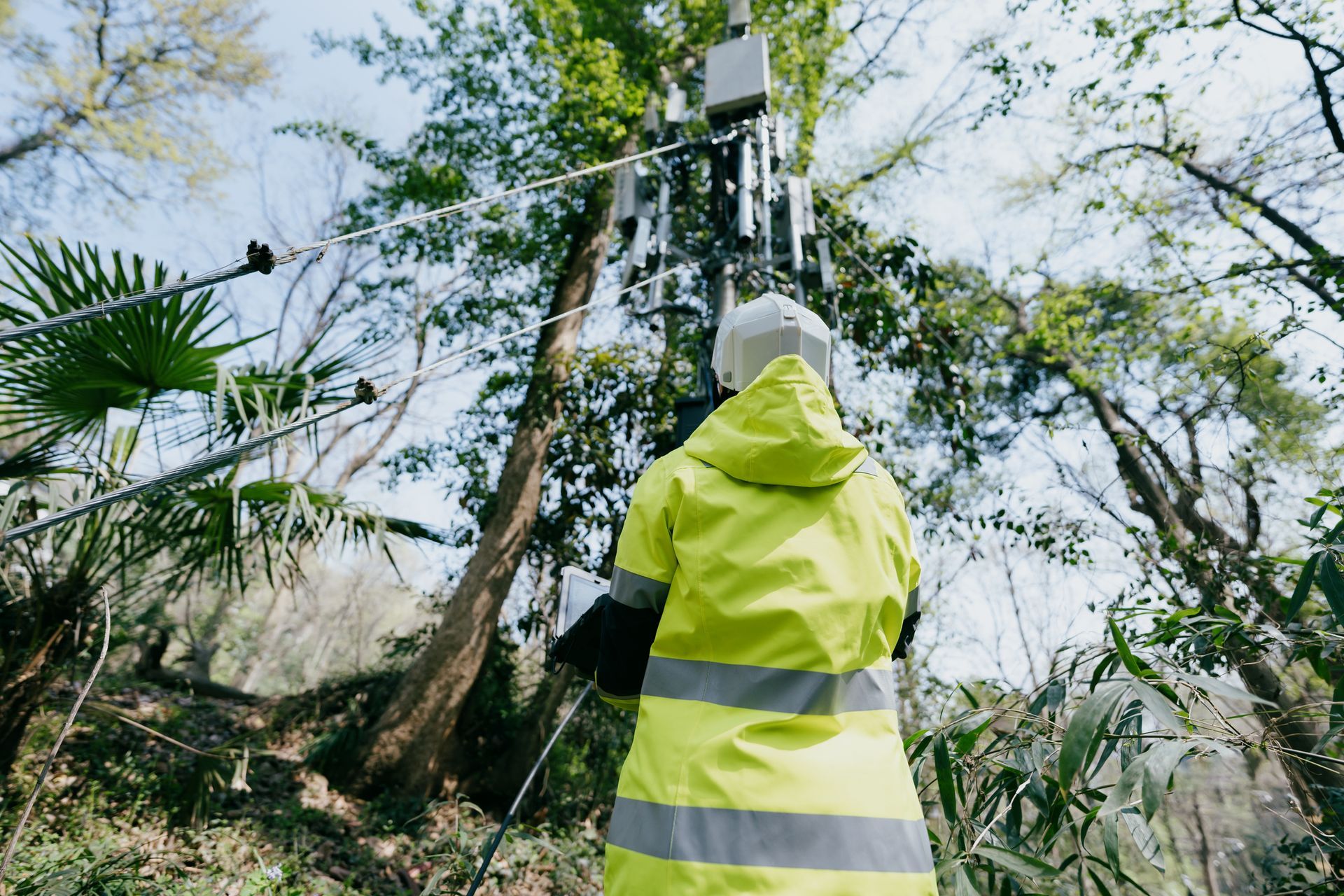 Advanced Equipment And Techniques — Fox Lake, IL — Joe Meyer Tree Service Inc