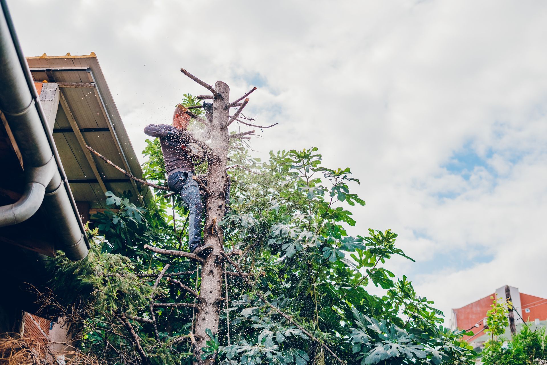 Tree Emergency Services — Fox Lake, IL — Joe Meyer Tree Service Inc