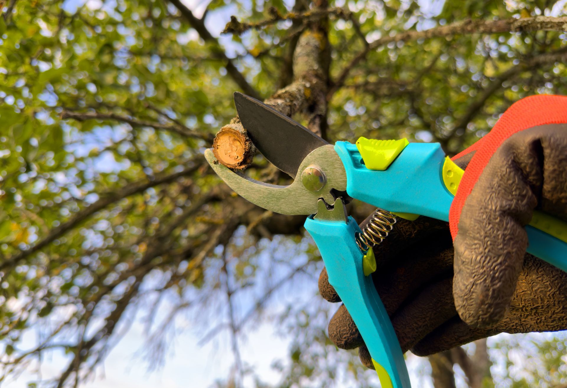 Customized Trimming Plan — Fox Lake, IL — Joe Meyer Tree Service Inc