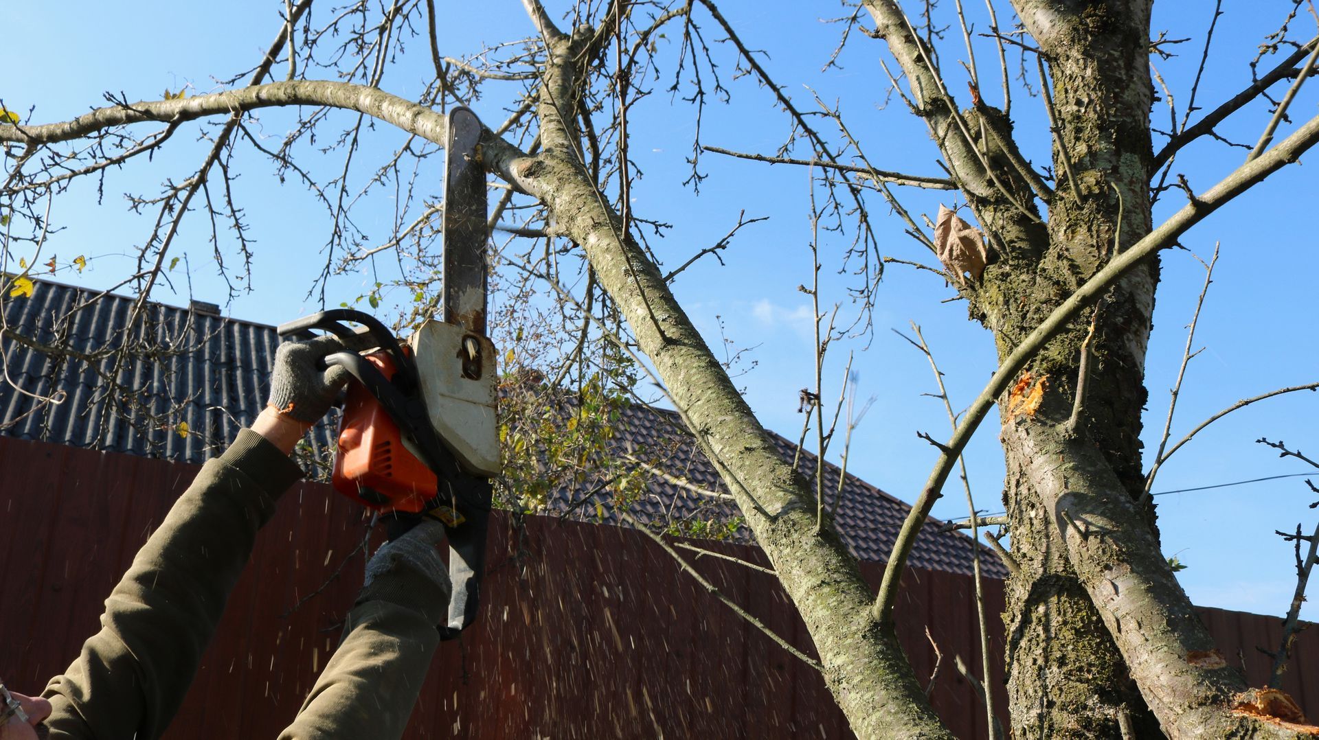 Comprehensive Tree Assessment — Fox Lake, IL — Joe Meyer Tree Service Inc