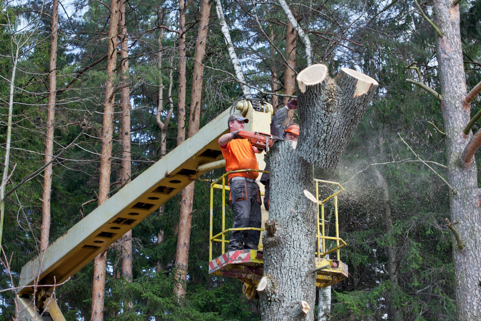 Cranes And Bucket Trucks — Fox Lake, IL — Joe Meyer Tree Service Inc