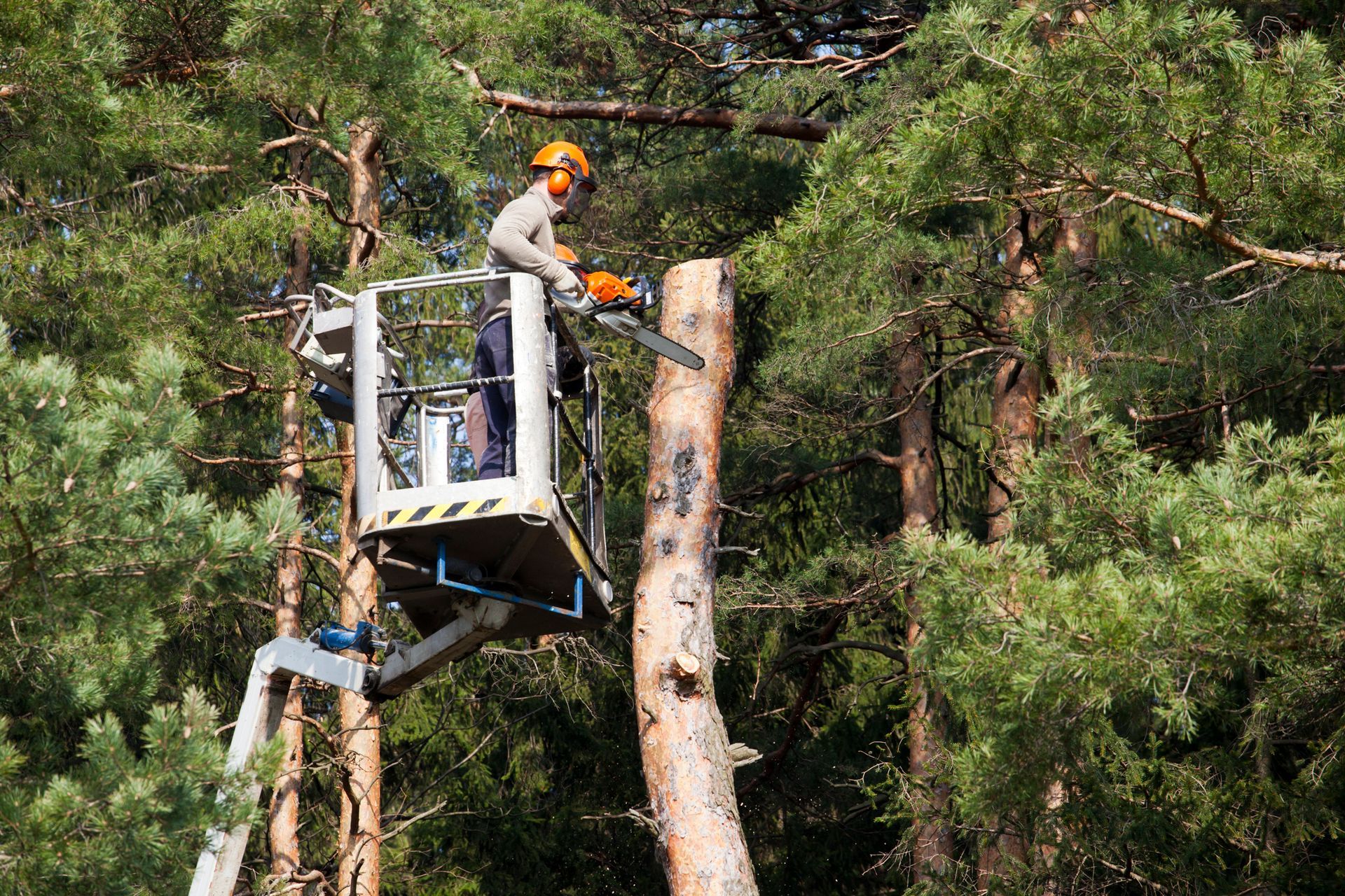 Cranes — Fox Lake, IL — Joe Meyer Tree Service Inc
