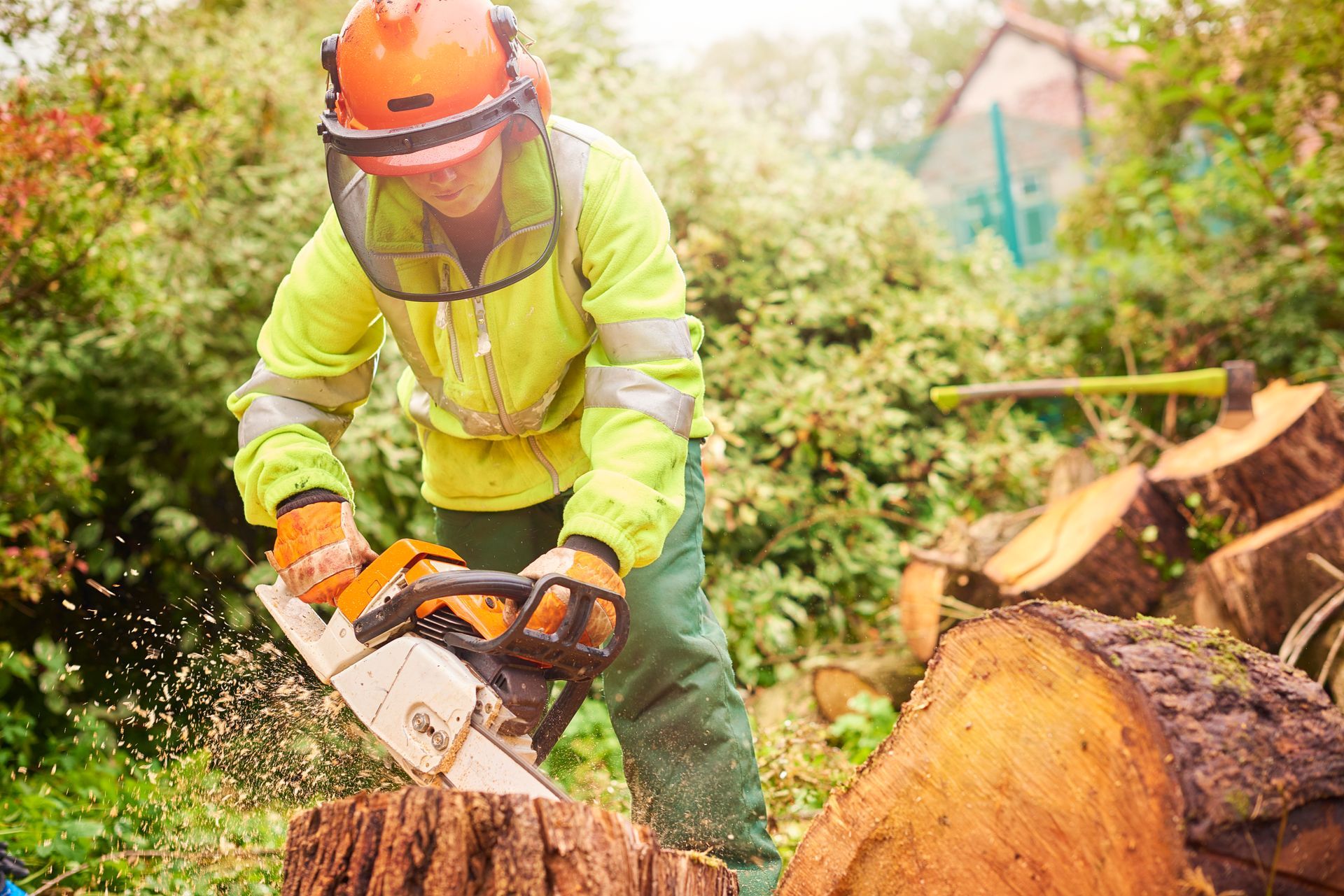 Modern Techniques And Equipment — Fox Lake, IL — Joe Meyer Tree Service Inc