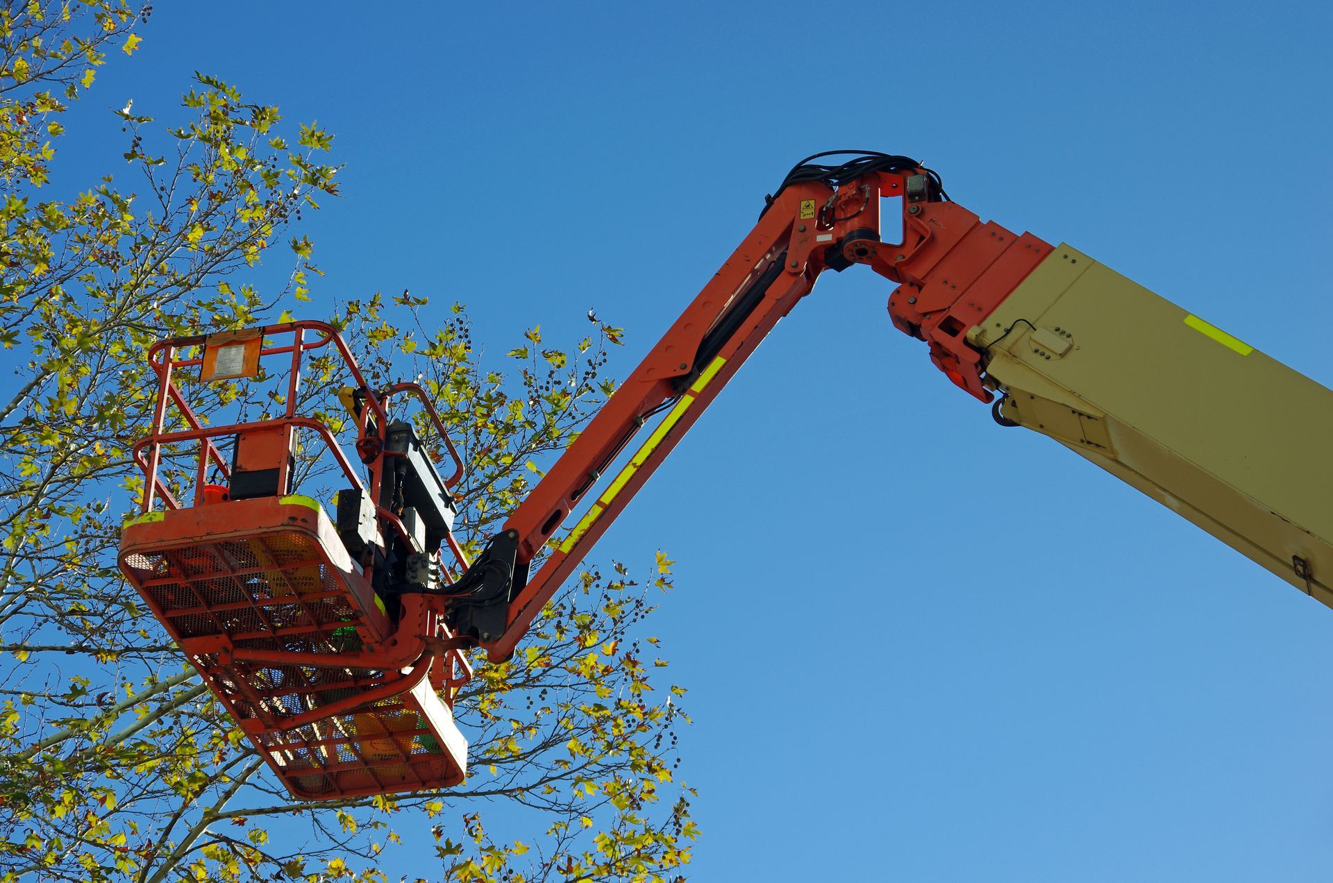 A man is in a bucket on a crane cutting a tree