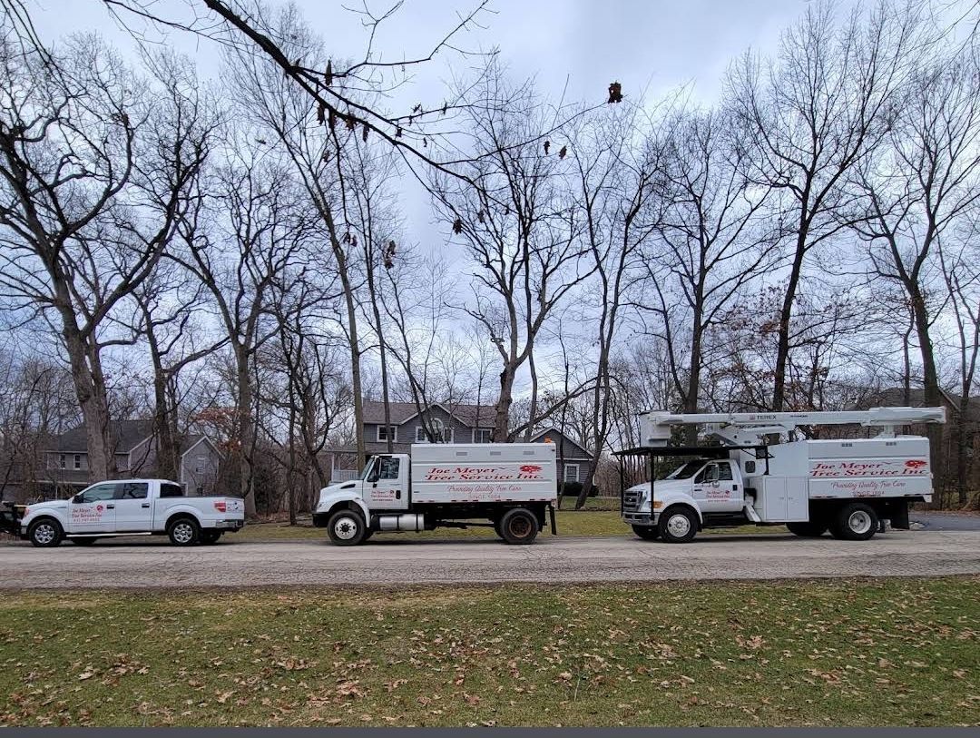 Two Utility Trucks Are Parked — Fox Lake, IL — Joe Meyer Tree Service Inc