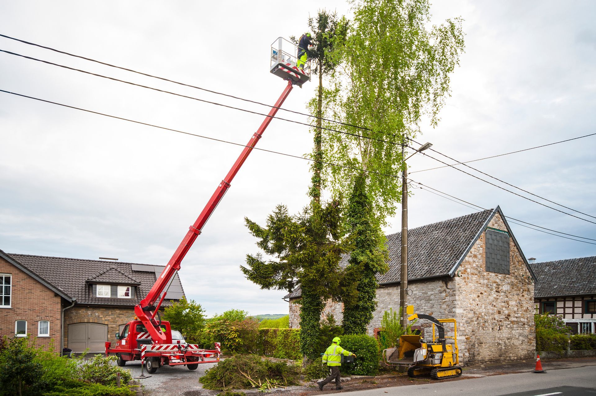 A Man Is Cutting A Tree With A Crane — Fox Lake, IL — Joe Meyer Tree Service Inc