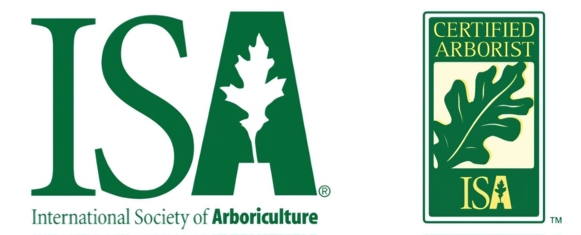 Emerald Ash Borer Treatment — Fox Lake, IL — Joe Meyer Tree Service Inc