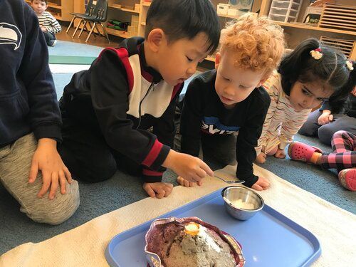 Montessori students working on the floor