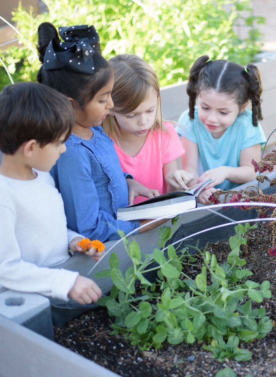 Montessori children working in the garden