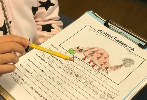 Montessori child working on cultural studies