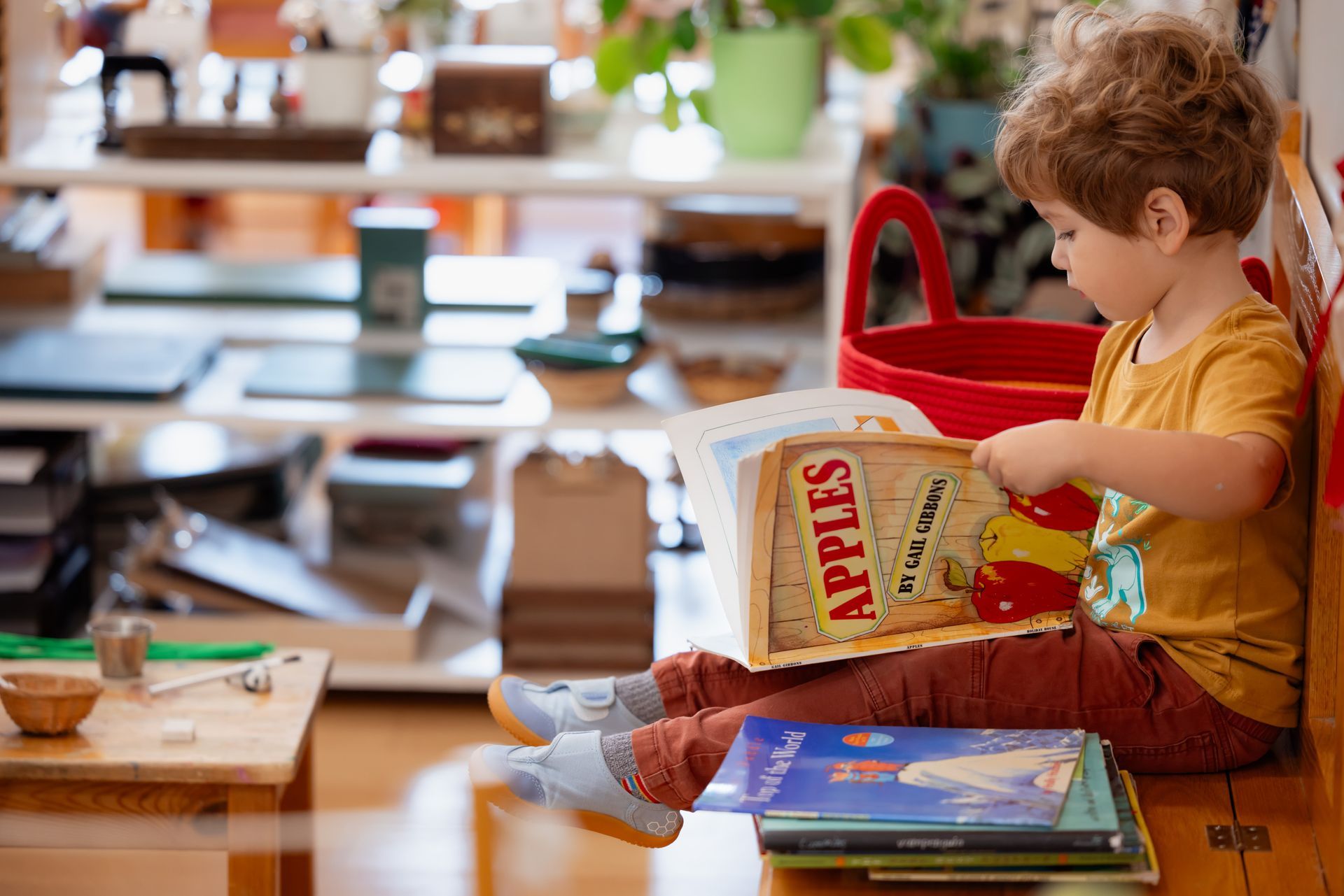 Montessori toddler reading in the classroom