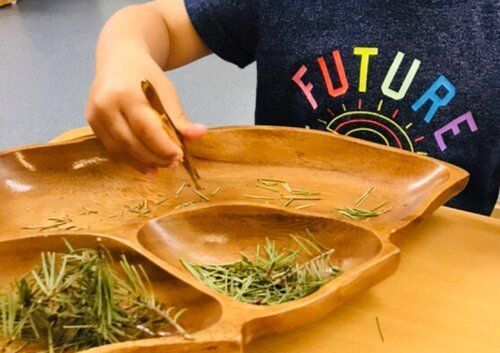 Toddler working with Montessori Sensorial materials