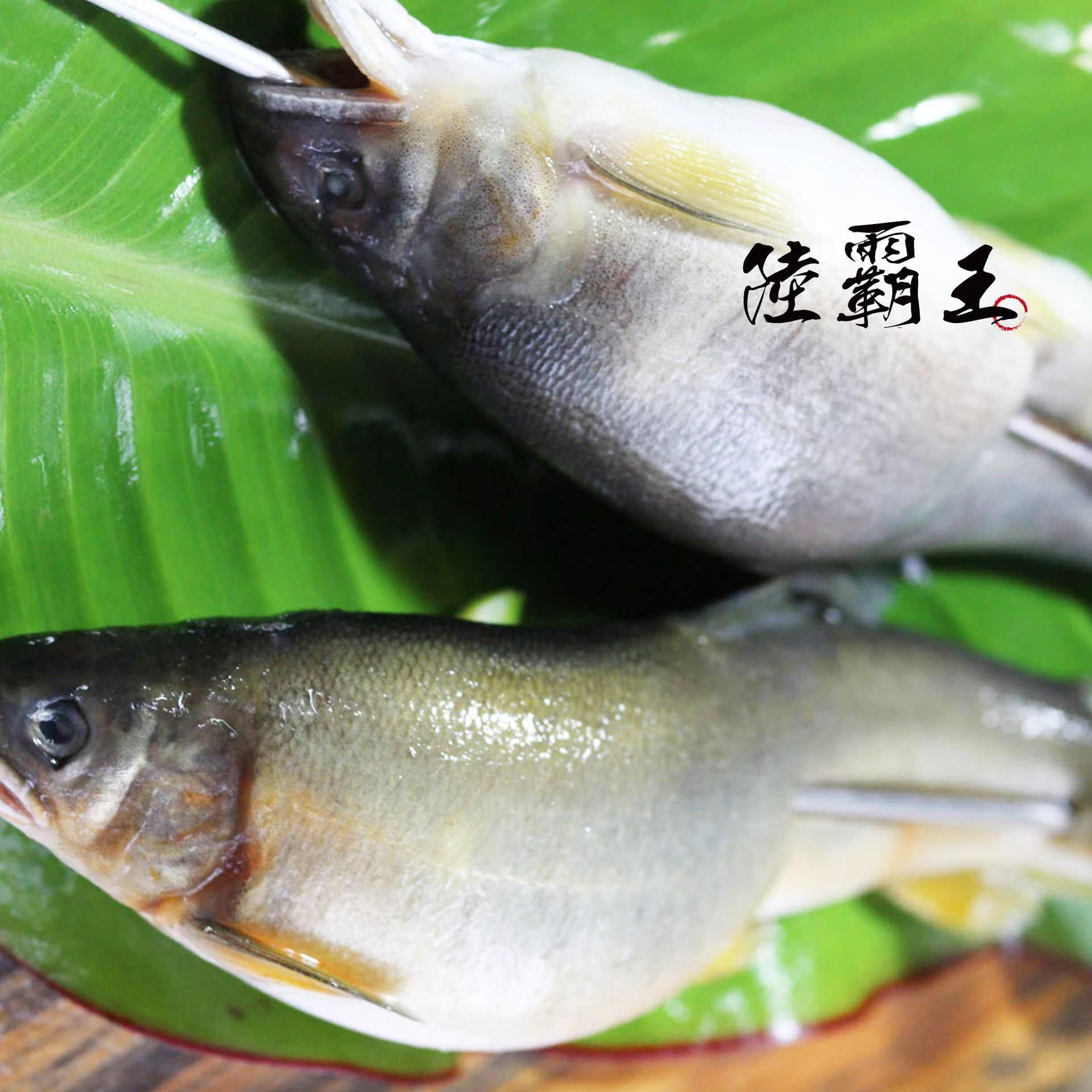 爆違規特大母香魚5-6尾裝/盒  爆卵 爆蛋母香魚 烤肉 【 陸霸王】