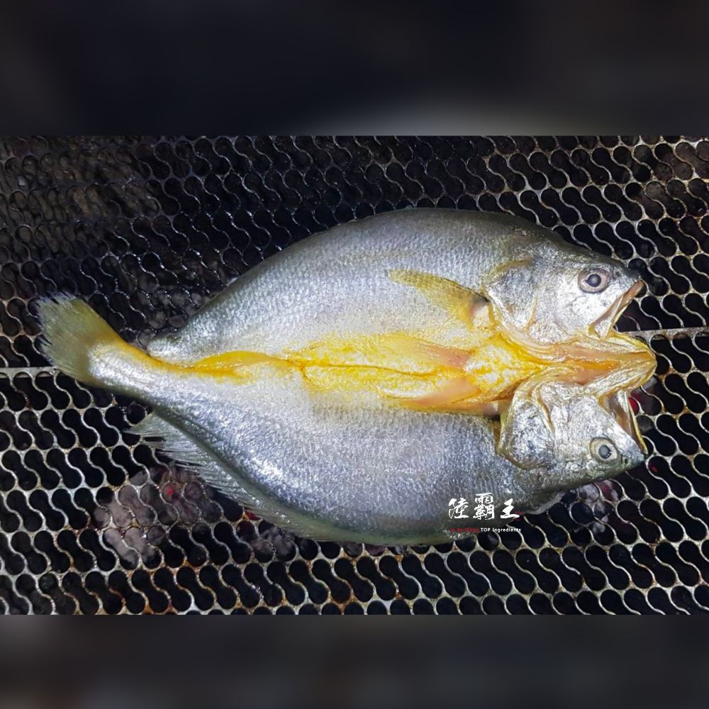黃魚一夜干200G/片_生鮮薄鹽  【陸霸王】