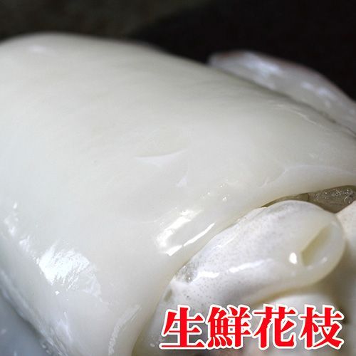 生凍大花枝 250g 隻  海鮮 炒三杯 【陸霸王】