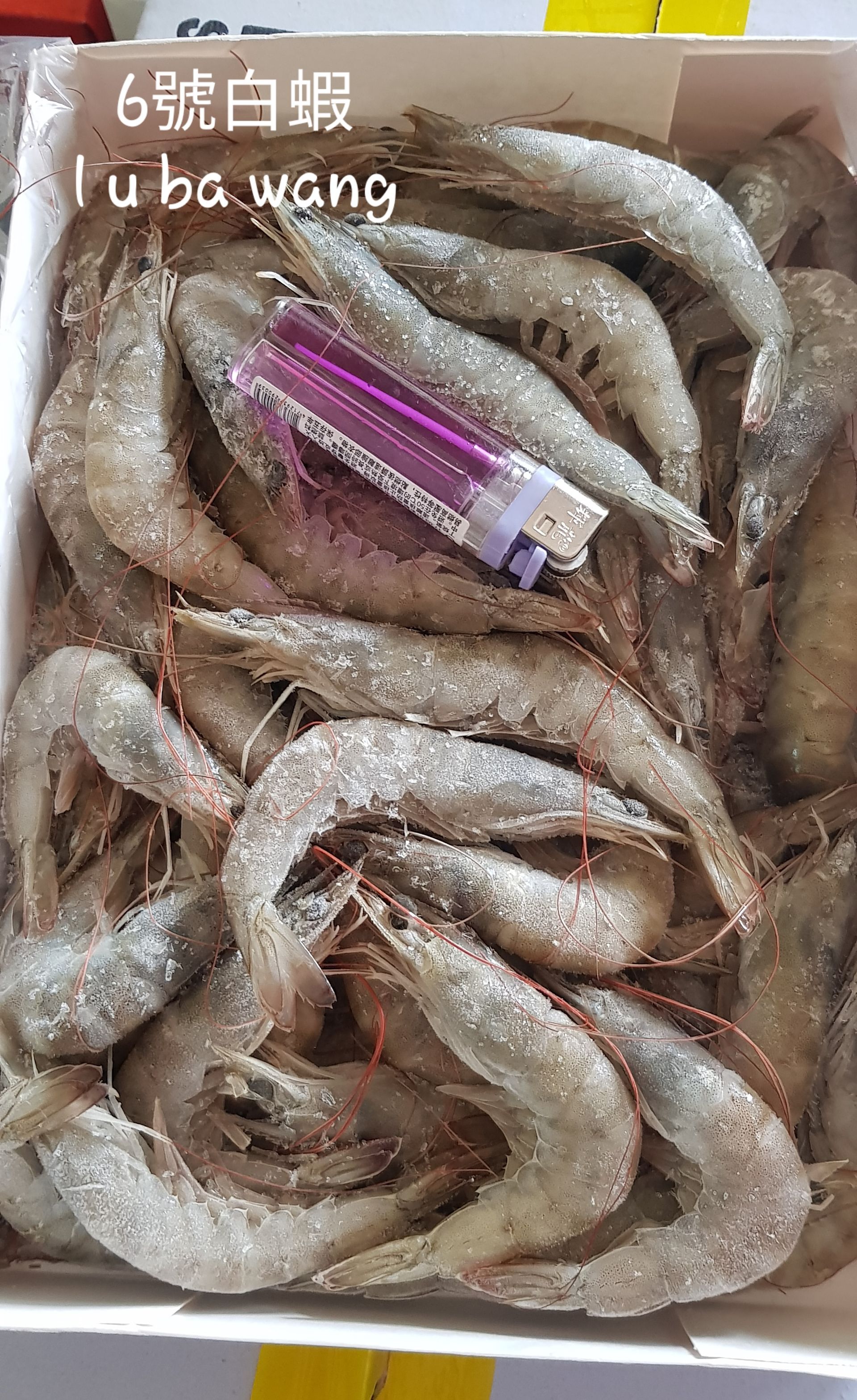 【2盒組】5號超級大白蝦/海藻蝦  850g/盒 42-51隻 【陸霸王】