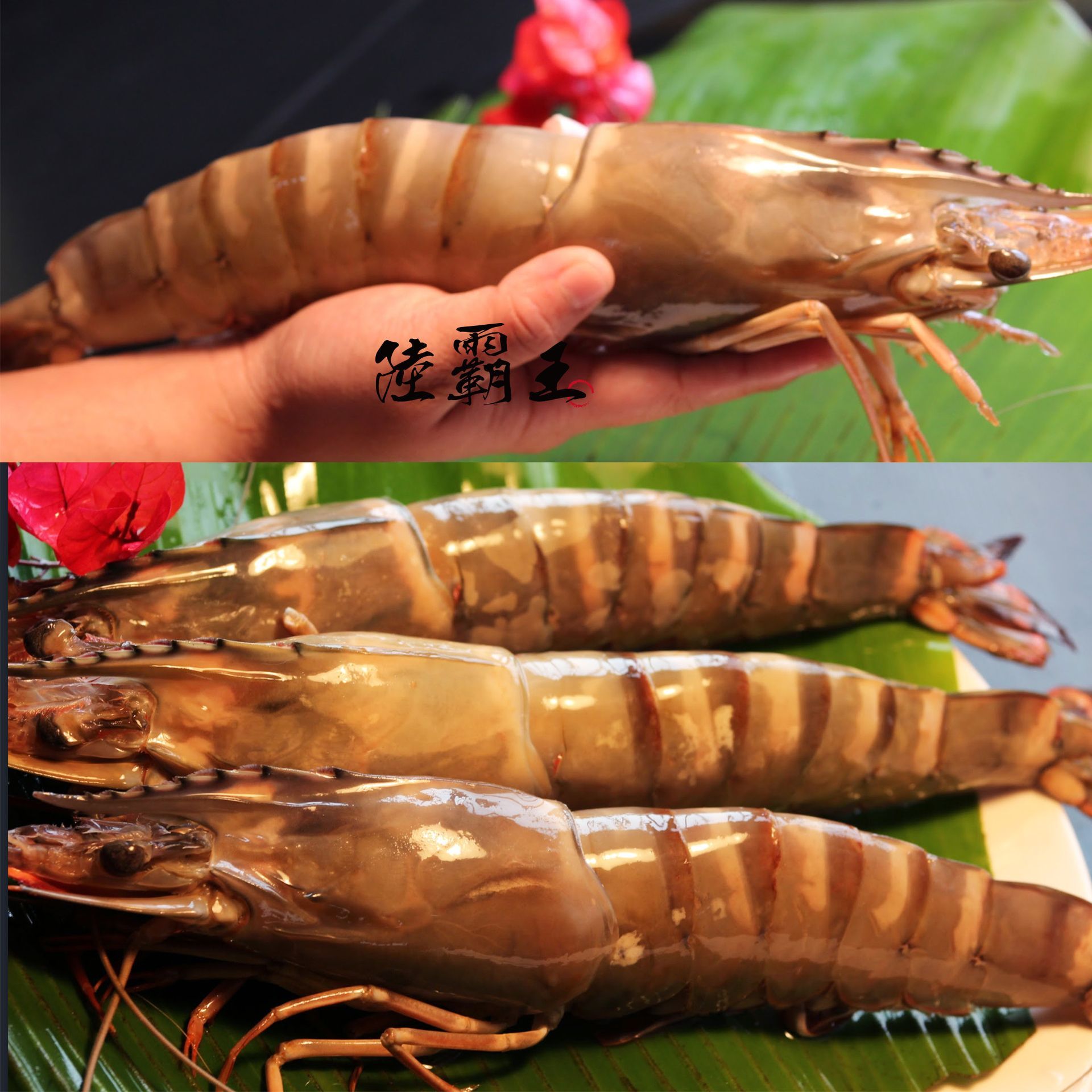 (第2件六折) 巨無霸大草蝦 超大蝦4隻入 烤肉 送禮 【陸霸王】