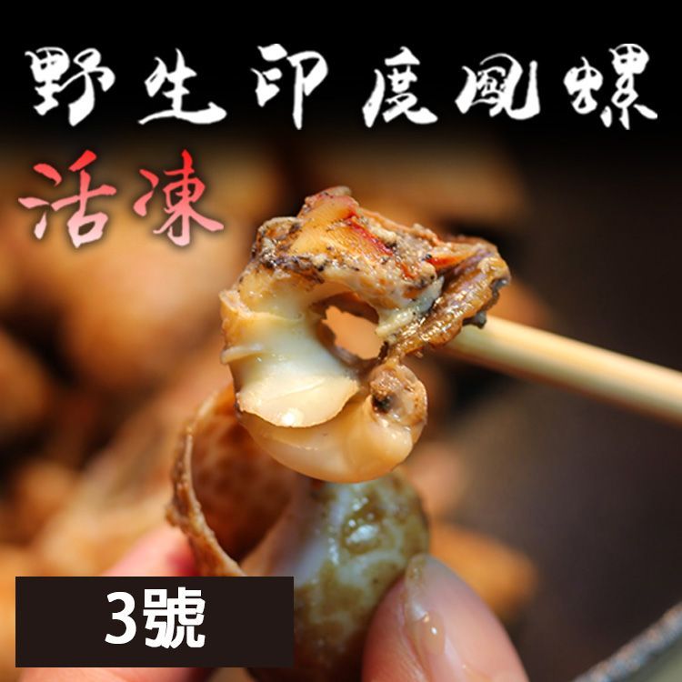 3號鳳螺 - 風螺 生鮮野生印度鳳螺  2kg/包 50/80 快炒 胡椒粉【陸霸王】