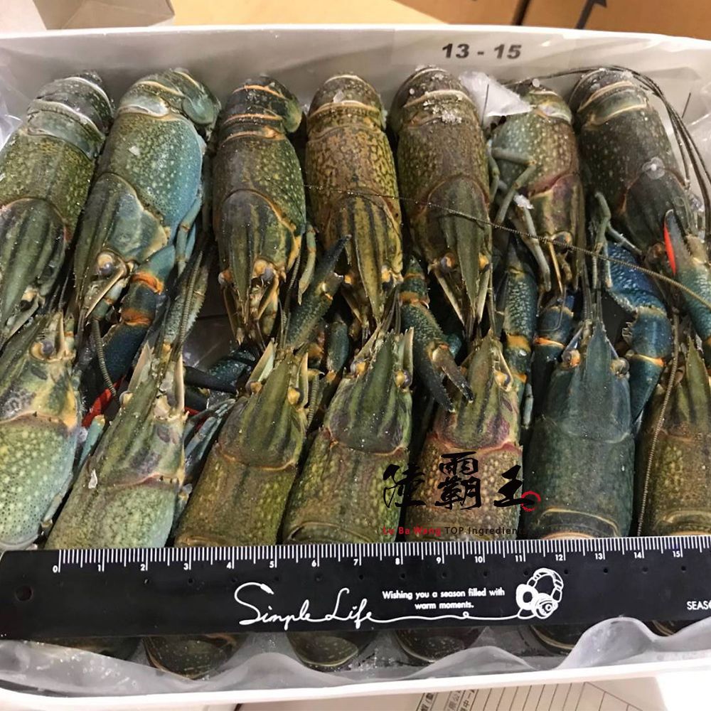 【多件優惠】生凍小龍蝦_1公斤/盒  溶岩龍蝦 烤肉 年菜 火鍋 送禮 【陸霸王】